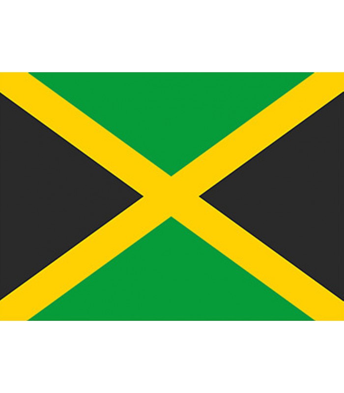 10 Pochettes carton avec trou 45T motif drapeau Jamaïque